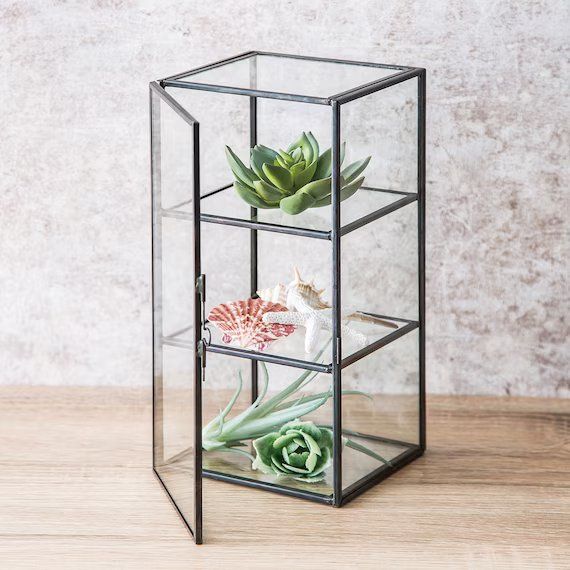 Tủ Trưng Bày Mini 2 Hình ảnh tủ trưng bày mini acrylic